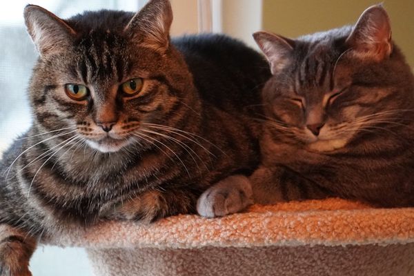 Fancy image effect whilst scrolling.